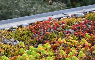 the cost of Balmer Heath green roof installation